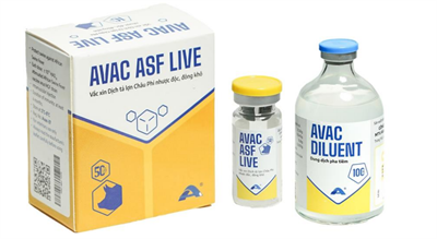 Nghiên cứu và sản xuất vắc-xin Dịch tả lợn châu Phi AVAC ASF LIVE