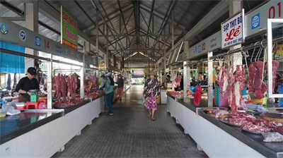 Nuôi heo giữa vòng xoáy dịch bệnh. Mong người tiêu dùng sớm quay lại với thịt heo.