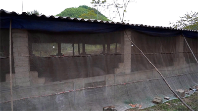 Chăn nuôi không tiếp xúc I - Chăn nuôi không tiếp xúc chính là mô hình 'an toàn sinh học' rút gọn