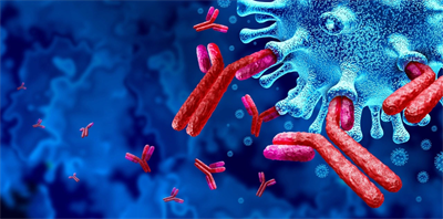 Immunoglobulin: Giải pháp mới cho sức khỏe của lợn