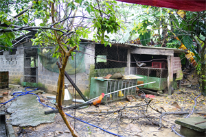 Tình hình địa phương